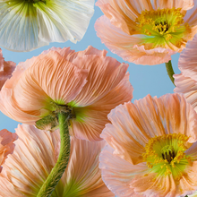 blommig